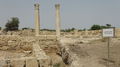 vykopávky Salamis - rybí tržnice