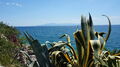 V pozadí zelená perla Egejského moře - ostrov Thassos.